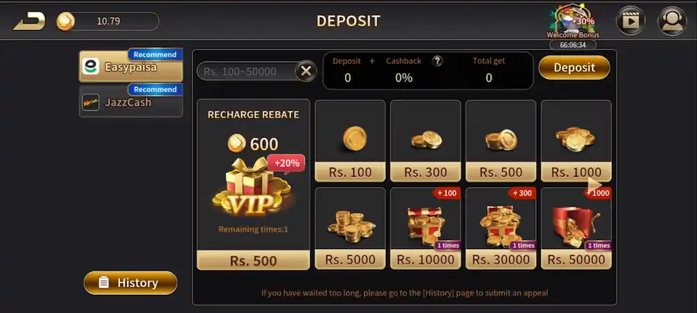 RoyalX Casino mobile wallet page showing balance and payment options