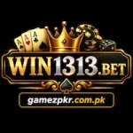 win1313.bet game logo icon image 2026